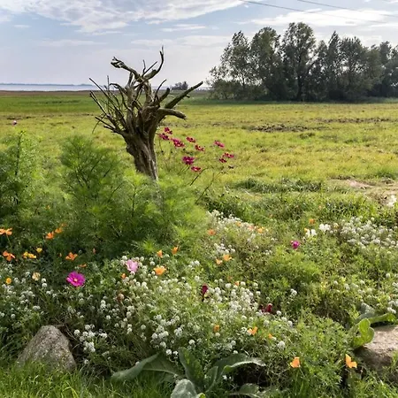 Boddenblick - Mit Gartennutzung In Hiddensee *