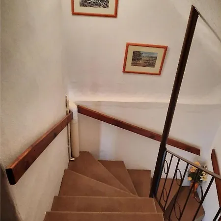 Boddenblick - Mit Gartennutzung In Hiddensee Apartment *